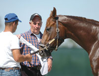 Noble Causeway