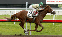 Noble Causeway