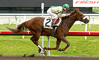 Noble Causeway
