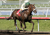 Noble Causeway