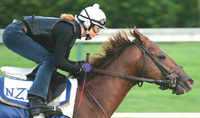 Noble Causeway