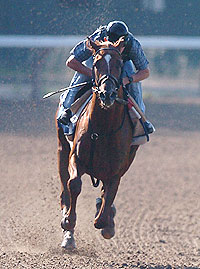 Noble Causeway