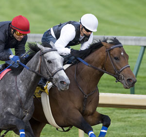 Beautician and Noble's Promise