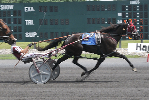 None Bettor 7/14/19