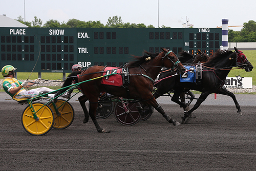 None Bettor 6/2/19