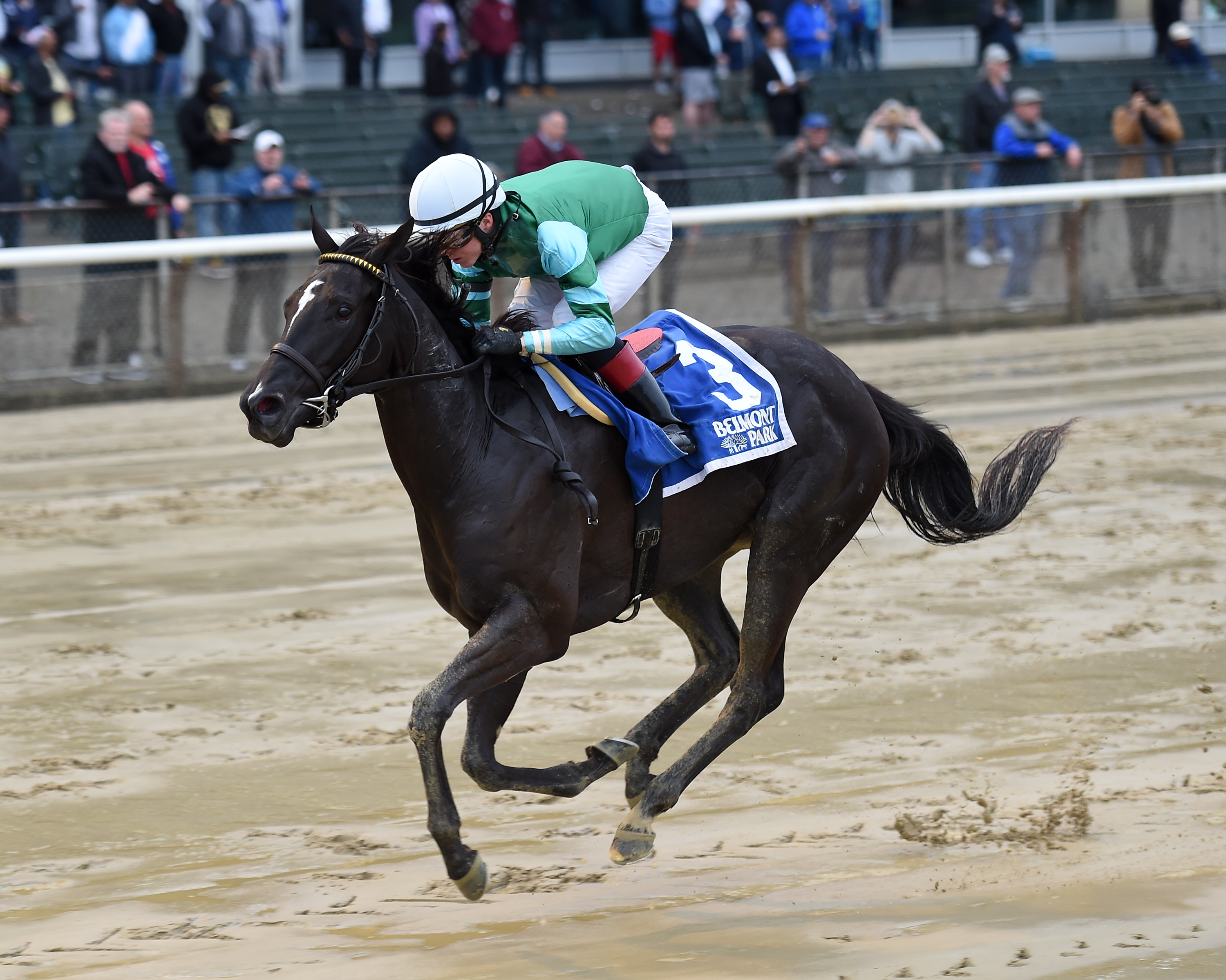 Nootka Sound wins 2018 Soaring Softly
