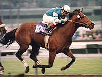 Northern Afleet