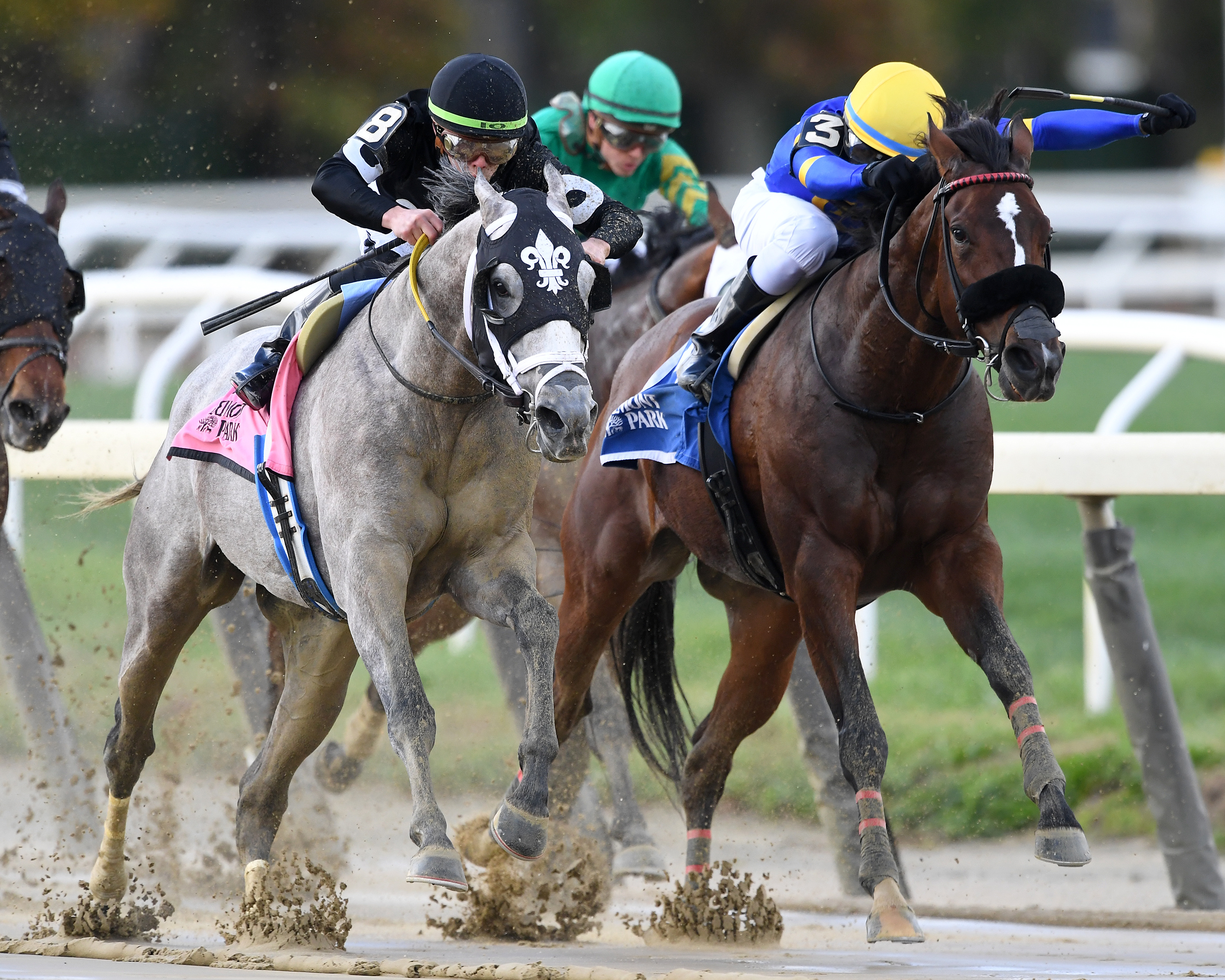 Ny Traffic (8) wins Hudson Handicap 1o0-30-2021