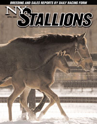 New York Stallions magazine