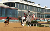Oaklawn Park