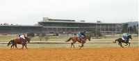 Oaklawn Park