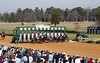 Oaklawn Park