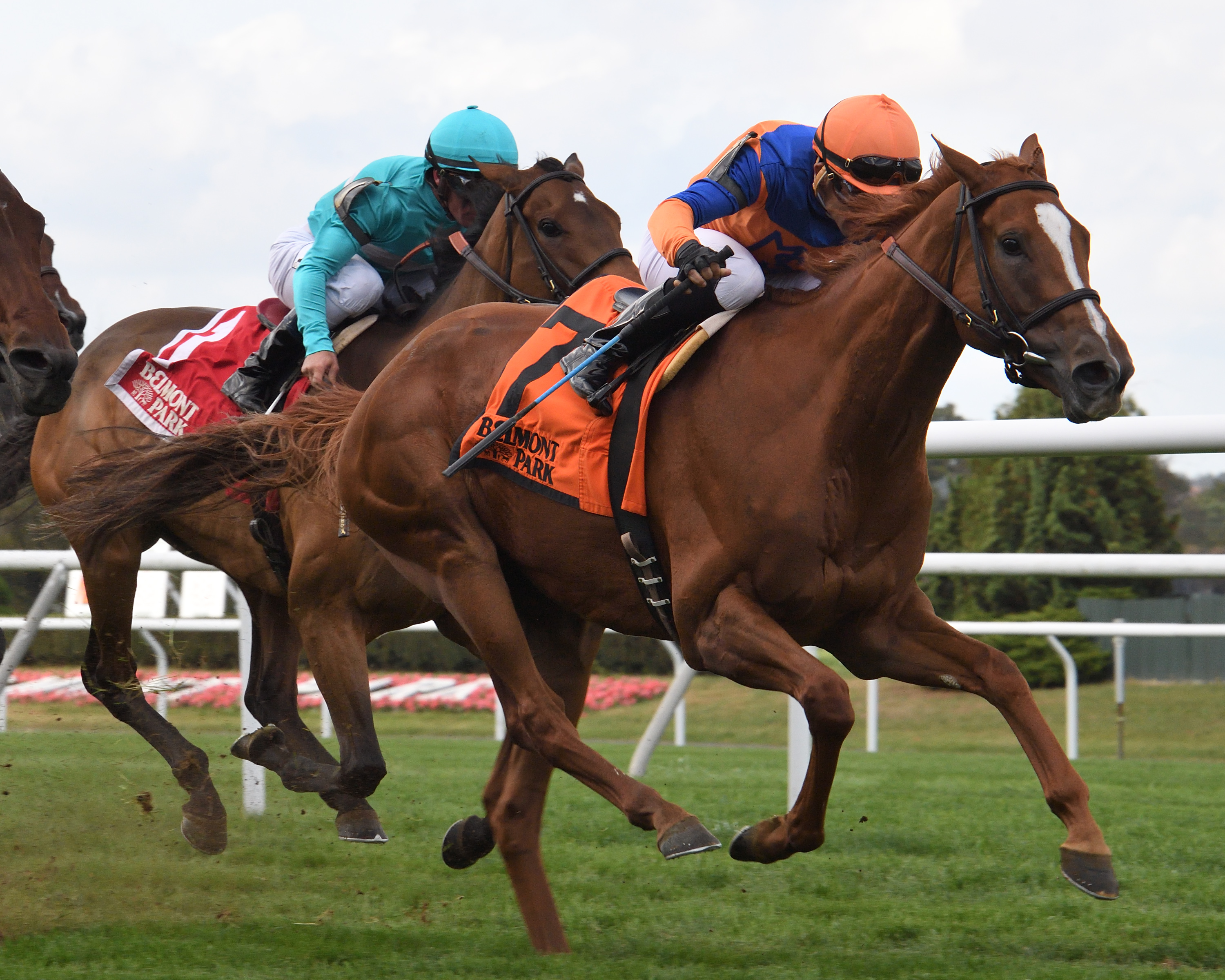 Off Limits wins The Athenia