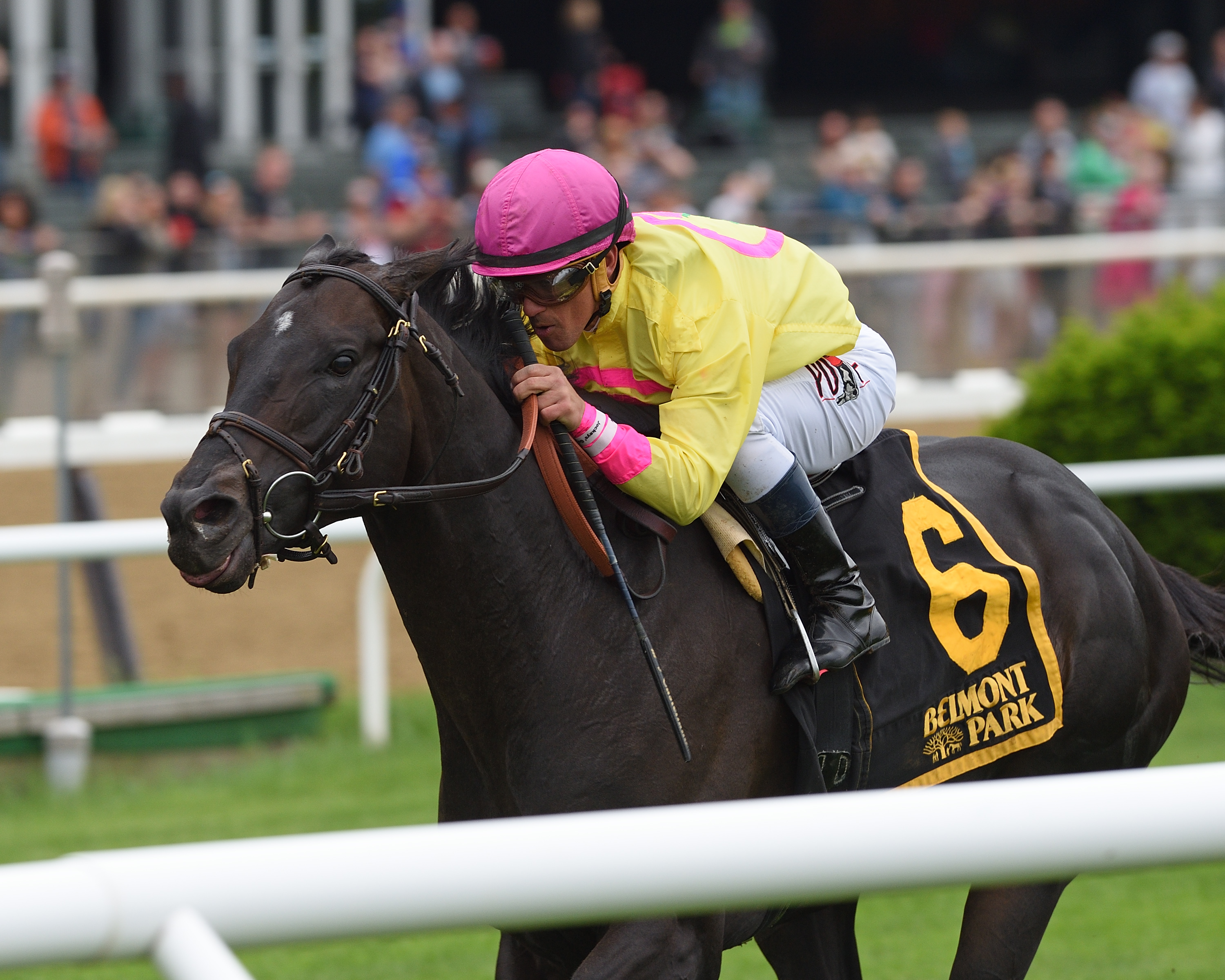 Offering Plan wins the 2018 Kingston Stakes