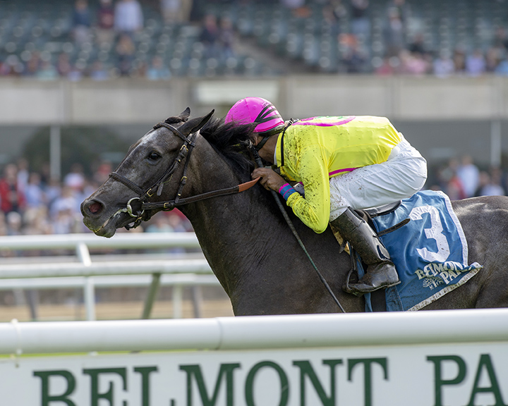 Olympico wins the 2019 Fort Marcy