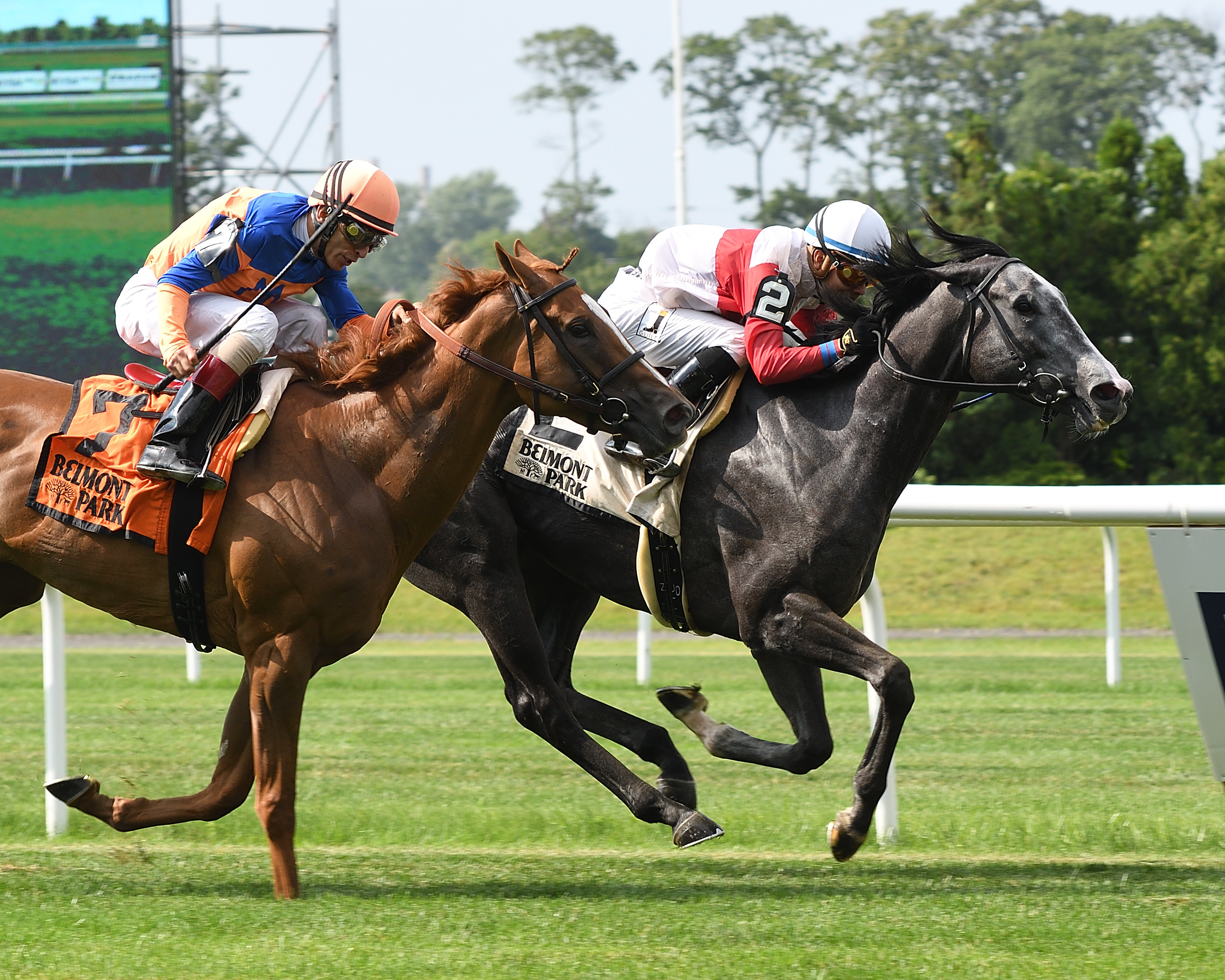 On Leave wins the Perfect Sting Stakes