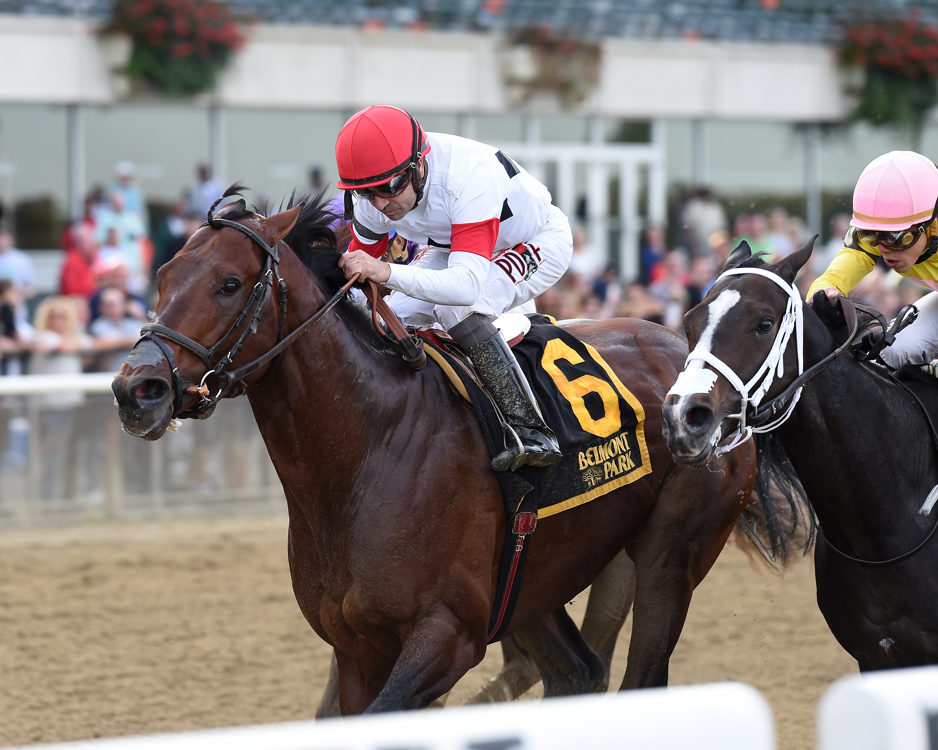 Ostrolenka wins Hudson Handicap