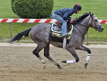 Paddy O'Prado