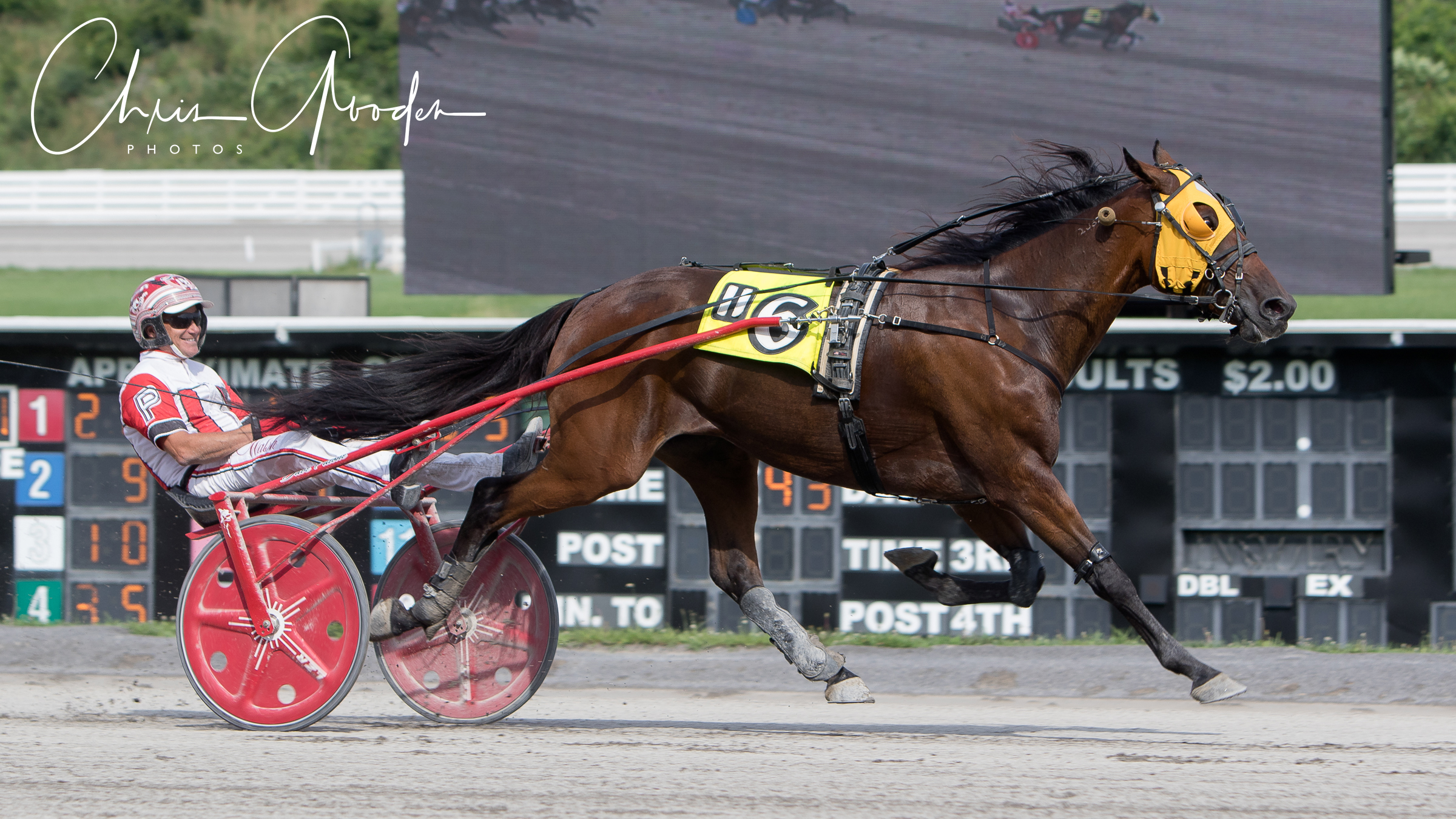 Dave Palone 18000