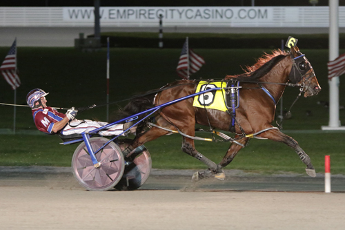 Paprike Blue Chip 9/21/17
