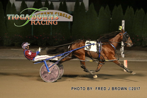 Paprike Blue Chip 9/9/17