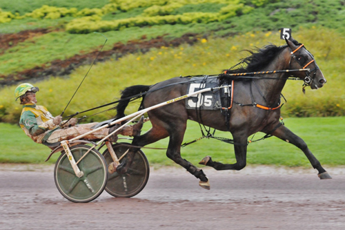 Parola Hanover 8-22-21