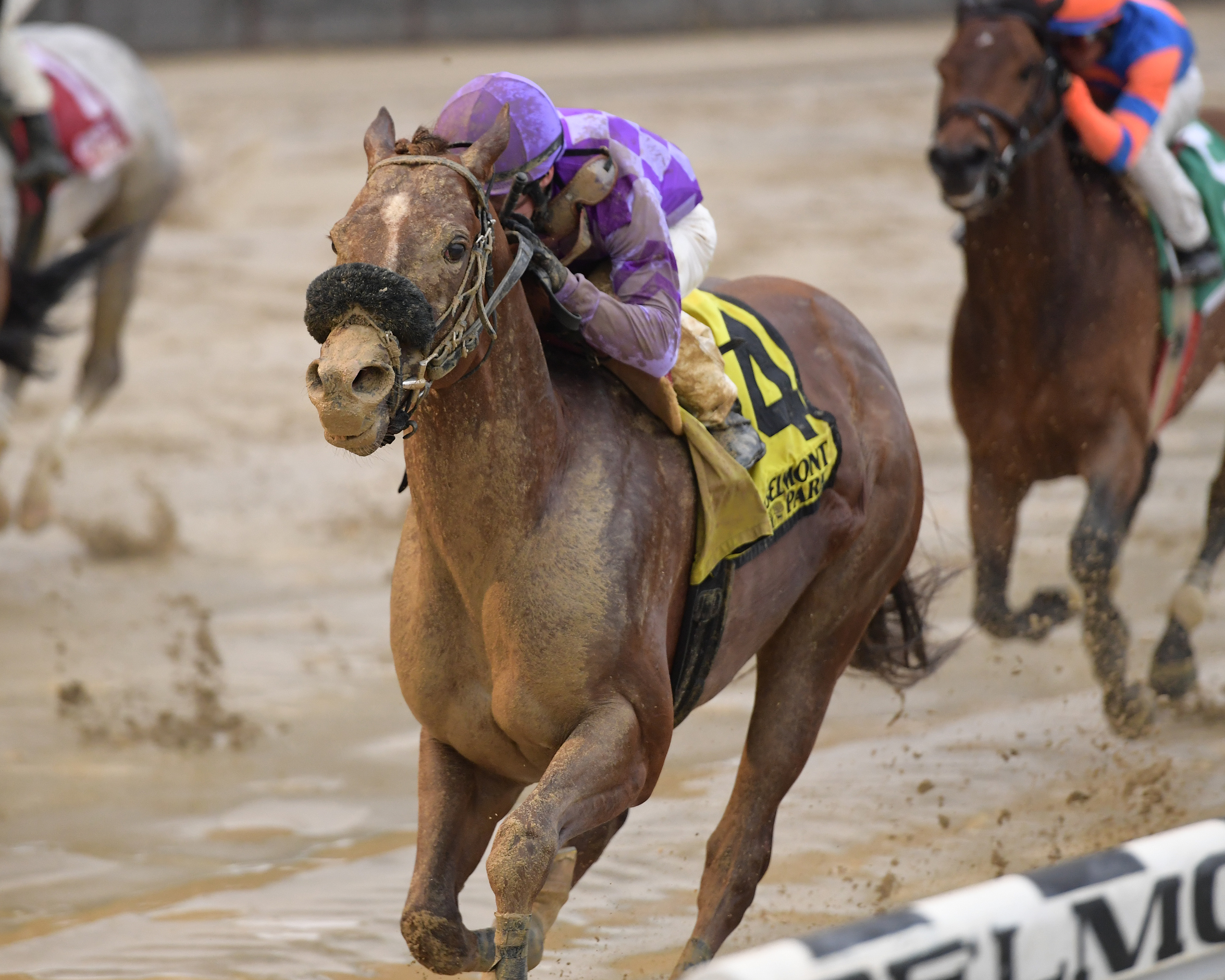 Pat On the Back wins the 2019 Affirmed Success Stakes
