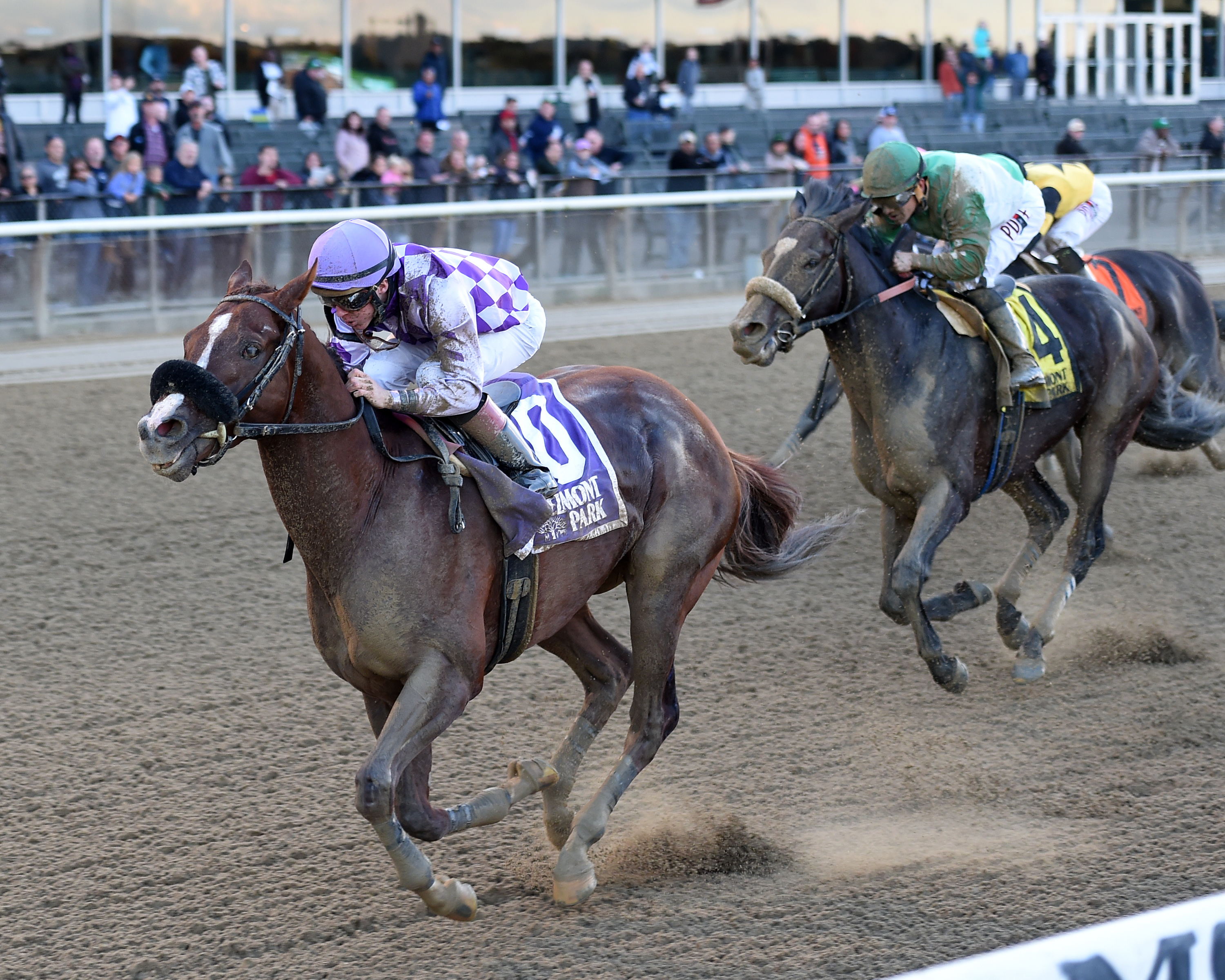 Pat On The Back wins 2018 Empire Classic