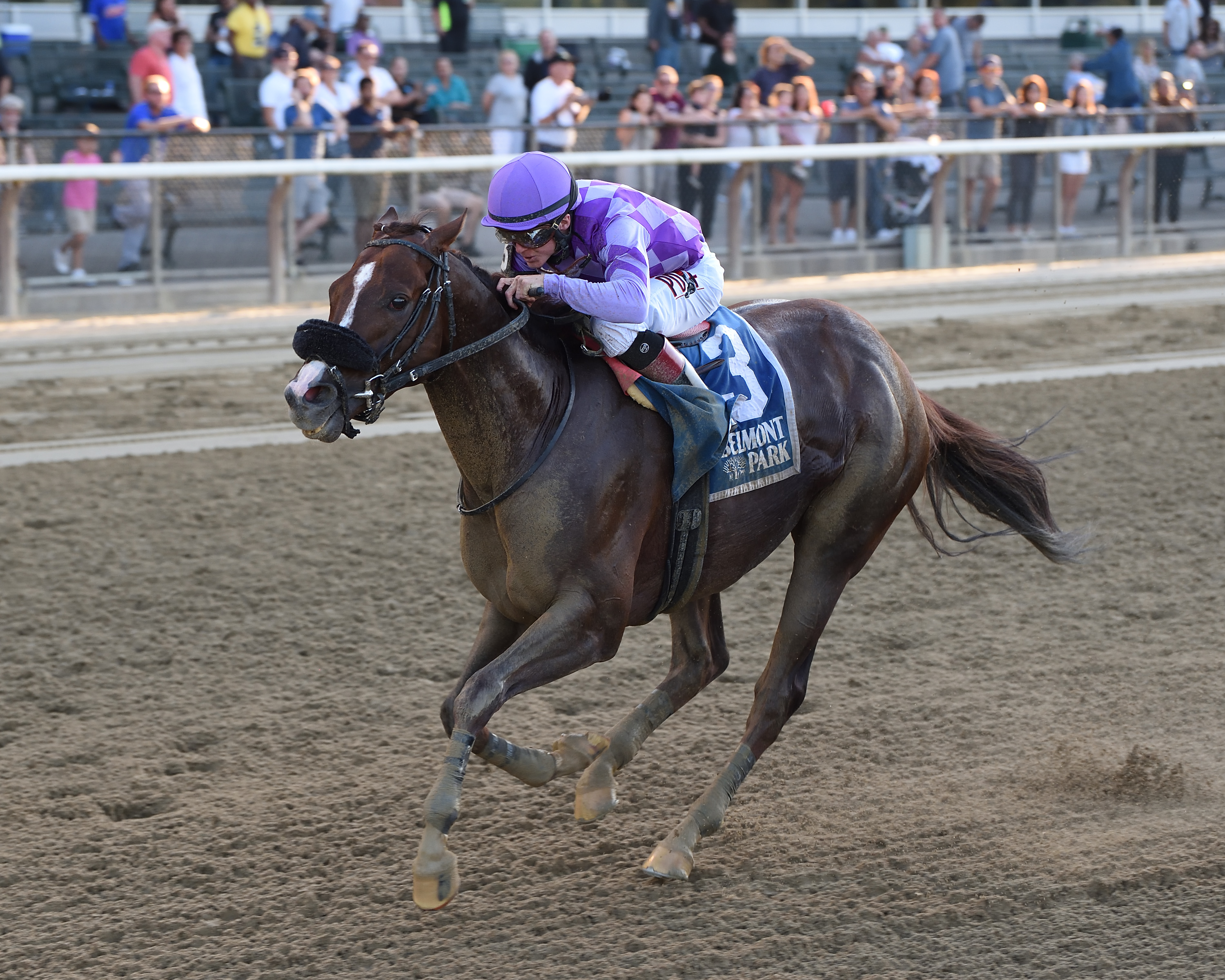 Pat On the Back wins the 2019 Kelso Stakes