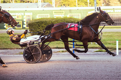 Patsville 8-17-22