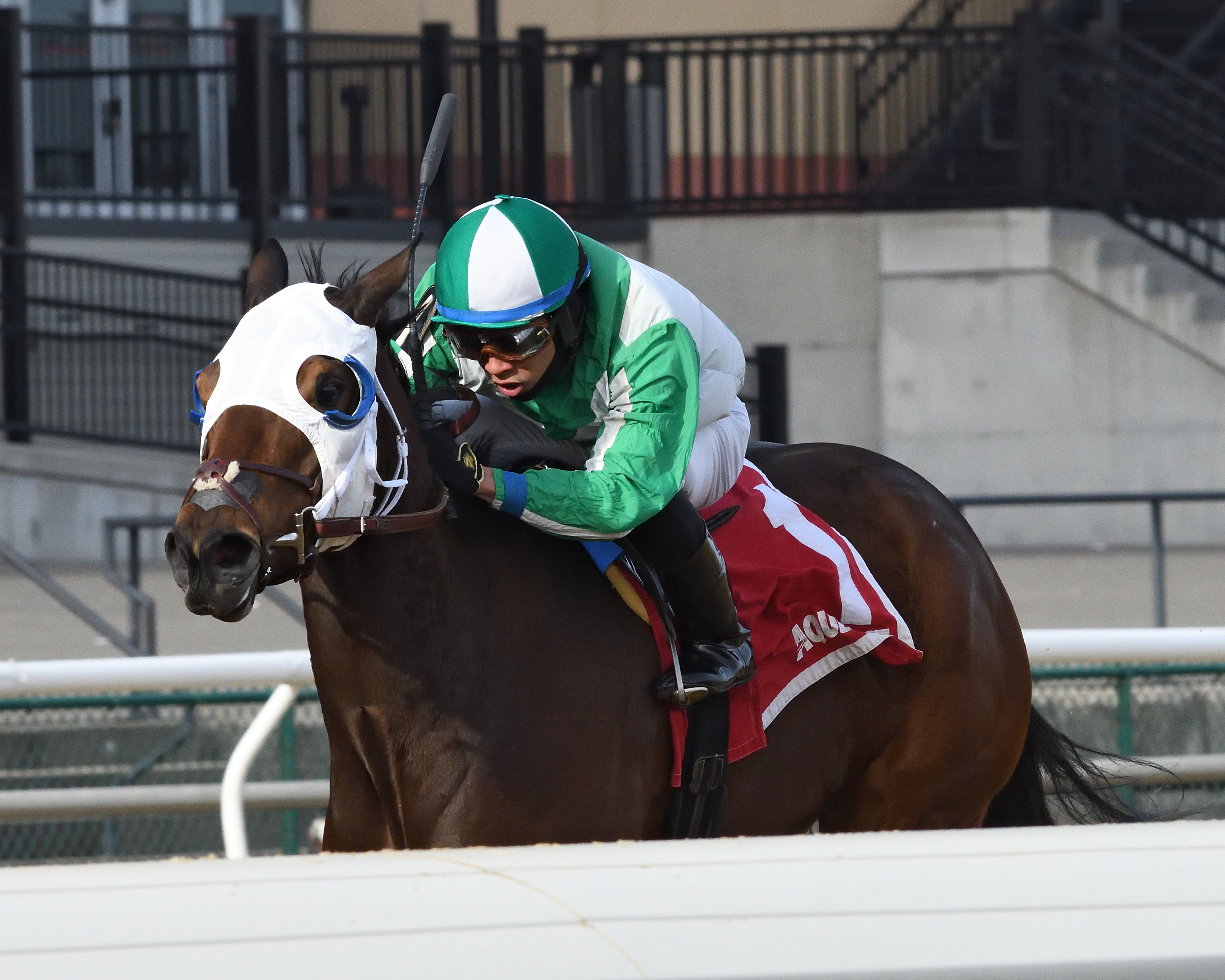 Pauseforthecause wins the 2019 Garland of Roses Stakes