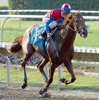 La. Derby a path to success