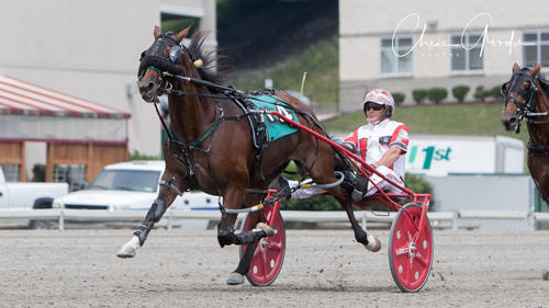 Pedro Hanover 8/14/17