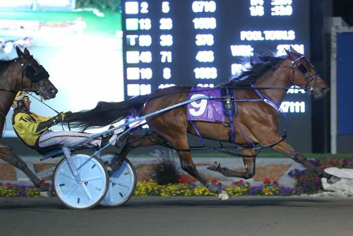 Percy Bluechip 8/26/17