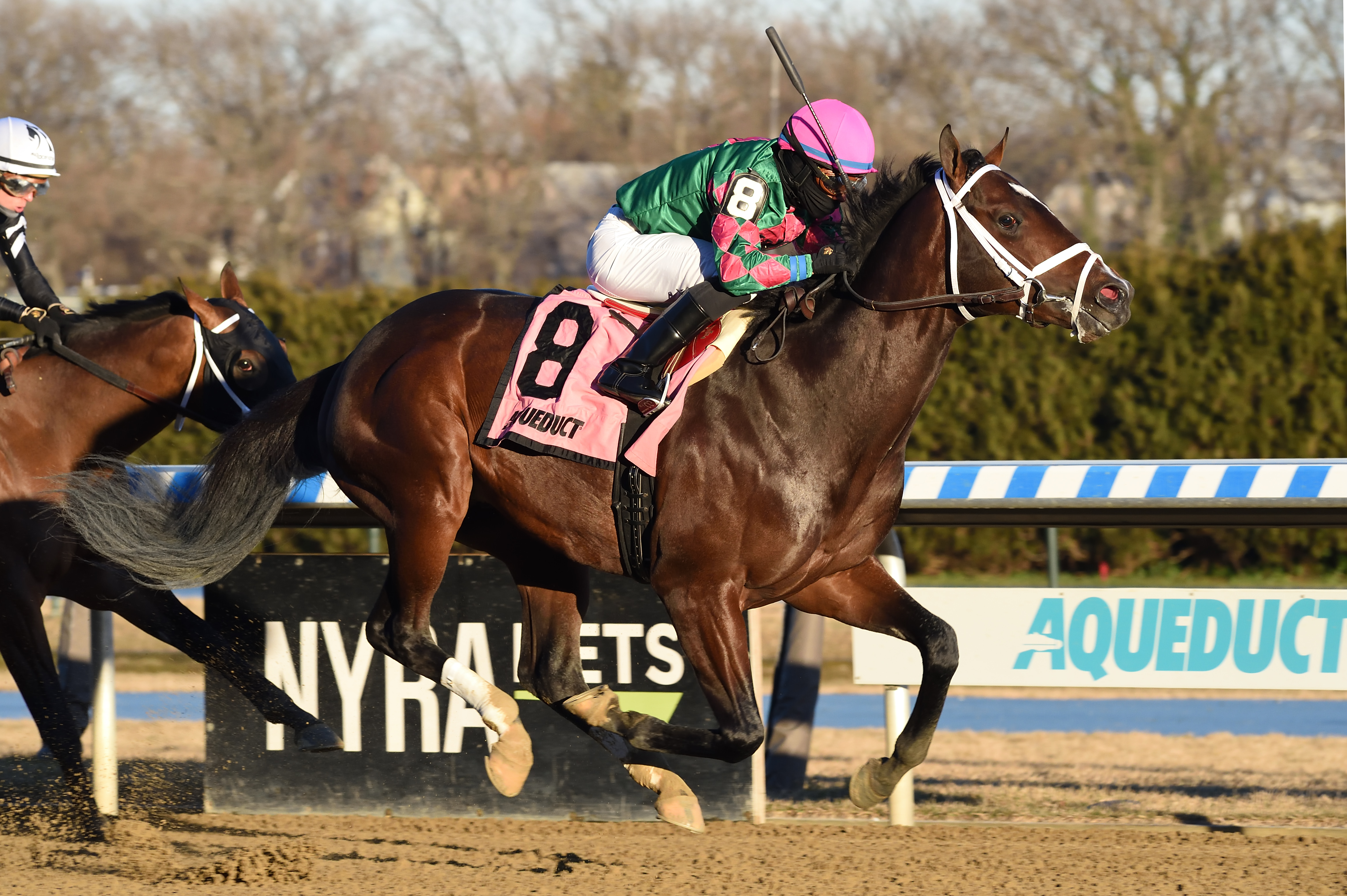 Perfect Munnings wins Rego Park 1-10-2021