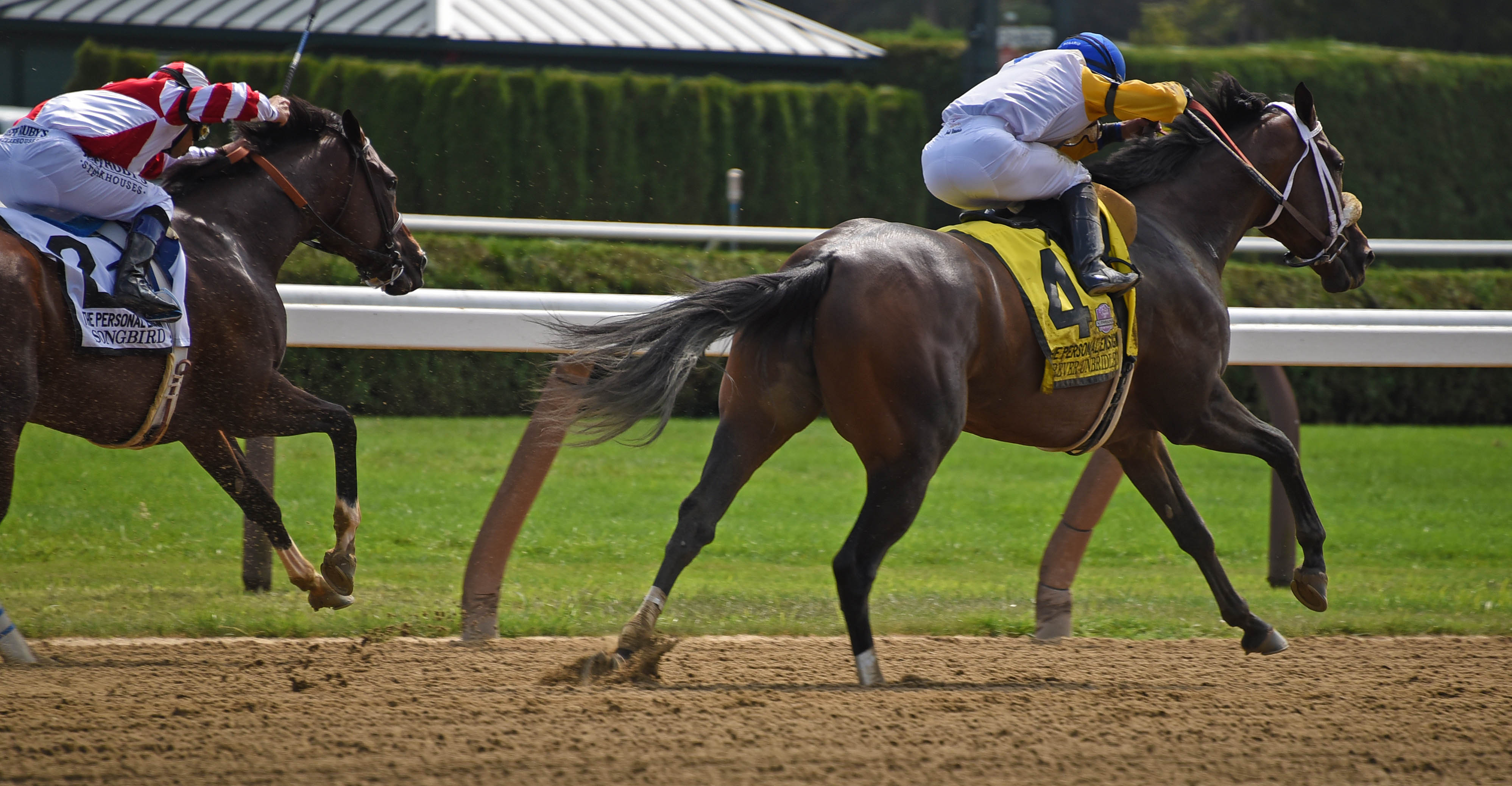 Forever Unbridled