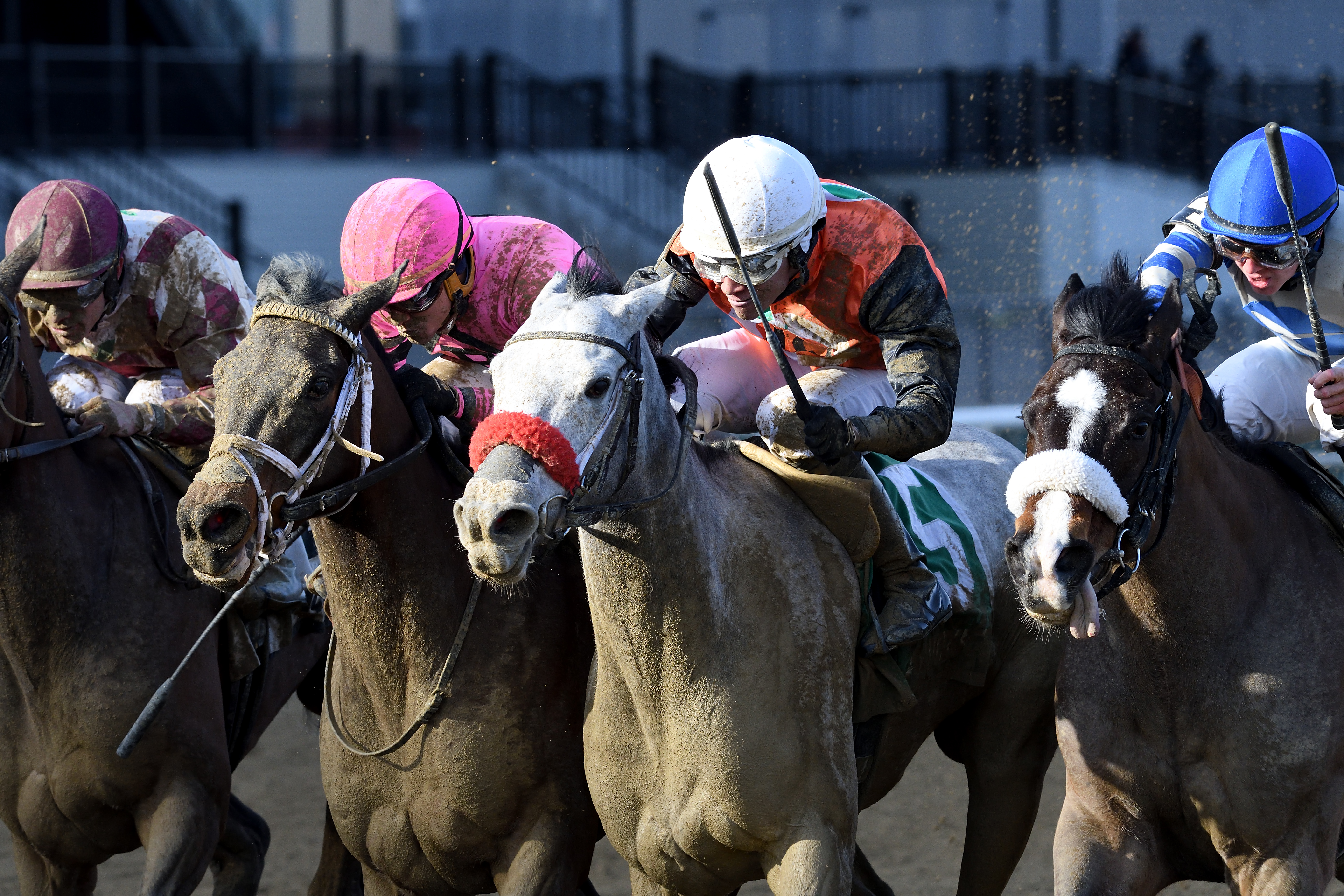 Piedi Bianchi (red noseband) wins the 2020 Correction Stakes