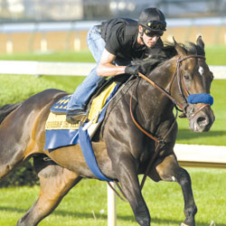 Pioneerof the Nile