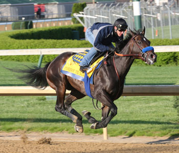 Pioneerof the Nile