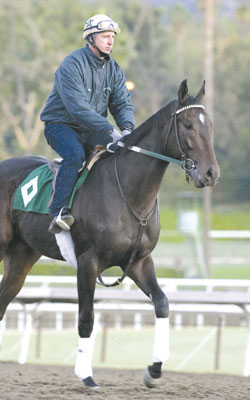 Pioneerof the Nile