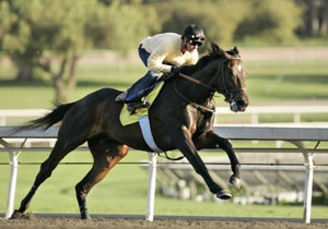 Pioneerof the Nile