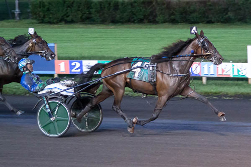 Piper Hanover 7-10-21