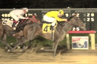 Placid Star