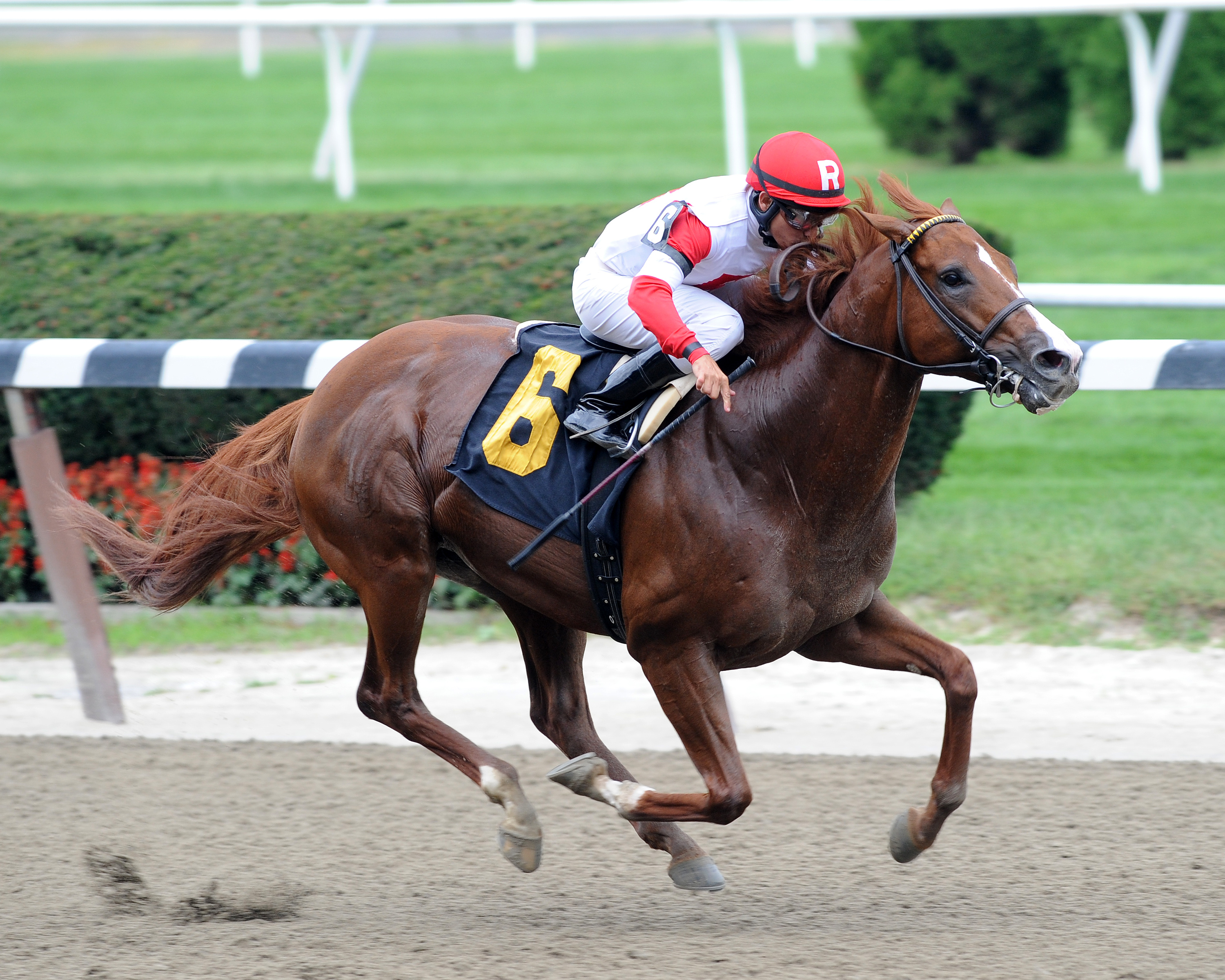 Pleasant Prince 9-15-2011