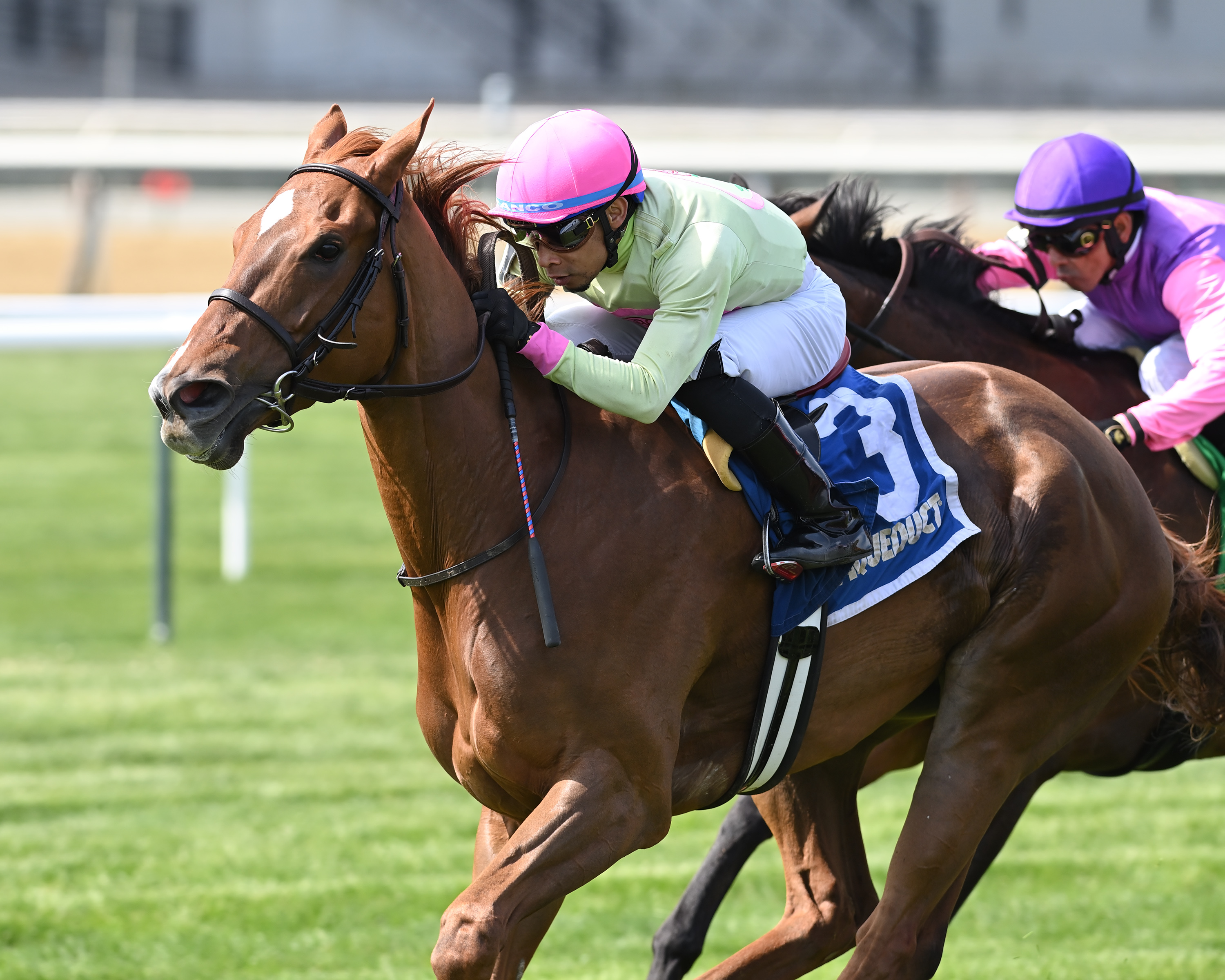 Plum Ali wins Plenty of Grace 4-16-2022