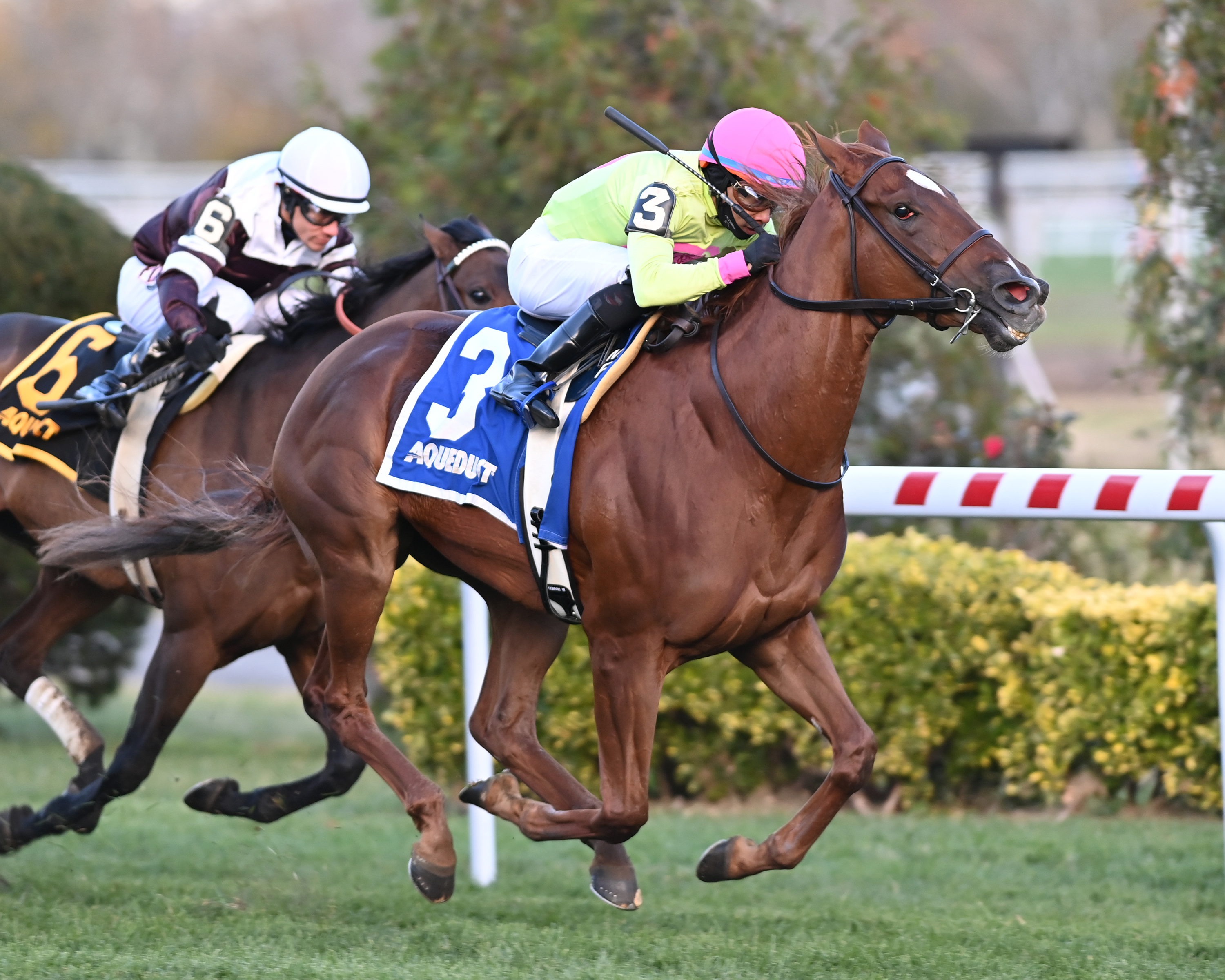 Plum Ali wins the Winter Memories 11-14-2021
