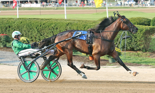 Plunge Blue Chip 9/24/20