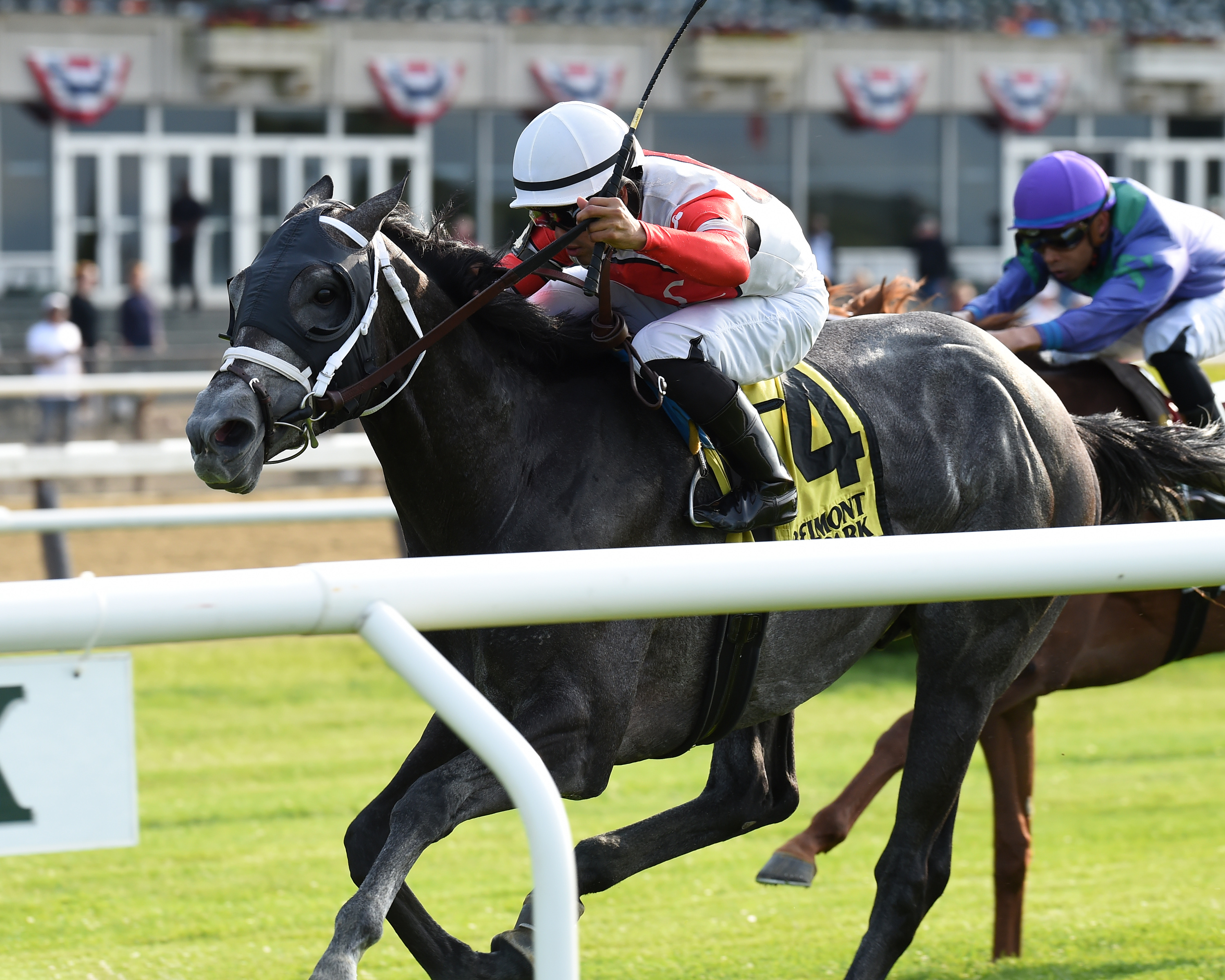 Pole Setter, Paradise Creek Stakes, Belmont, May, 25, 2019