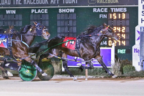 Ponda Warrior 11-18-22