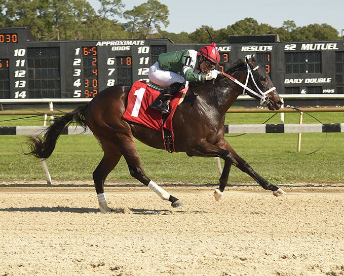 Poppy's Pride wins the Inaugural Stakes at Tampa Bay Downs 12-5-2020